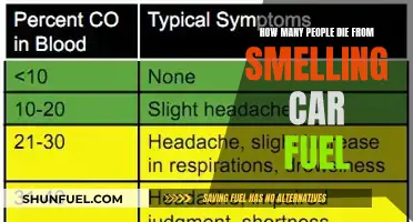 The Surprising Truth: How Many People Die from Car Fuel