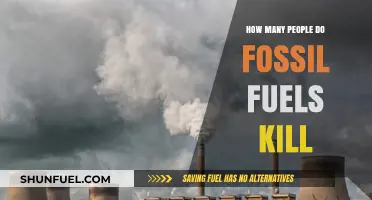 Fossil Fuels' Deadly Impact: Uncovering the Human Toll of Emissions