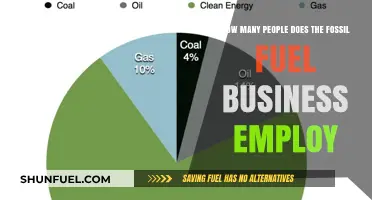 Fossil Fuel Industry Employment: A Comprehensive Look at Job Numbers