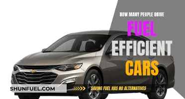 Fuel-Efficient Cars: Who's Driving and Why?