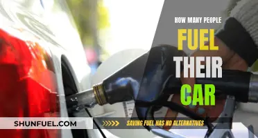 Fuelled-up Cars: Millions of People, One Common Habit