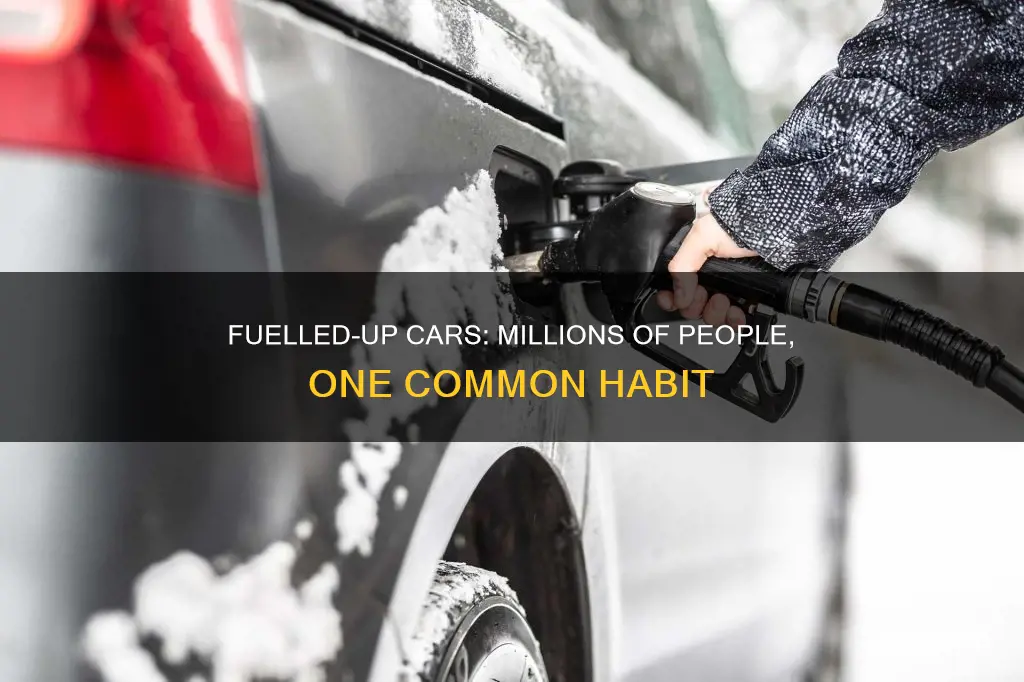 how many people fuel their car