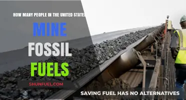 Fossil Fuel Mining Workforce: Uncovering the Numbers in the U.S