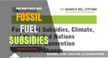 Fossil Fuel Subsidies: How Many Depend on Them Globally?