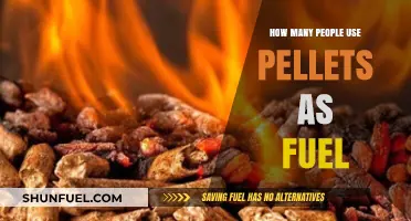 Pellet Fuel Usage: How Many People Rely on Pellets for Energy?