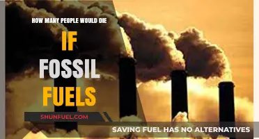 Fossil Fuels' Deadly Impact: Estimating Lives Lost in a World Dependent