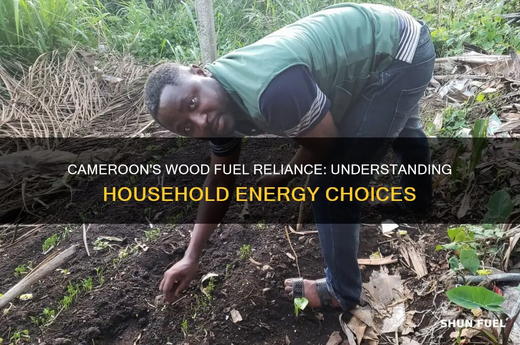 how many percent of cameroonian use wood for fuel