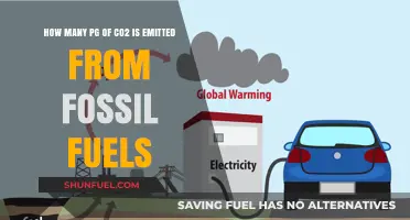 Fossil Fuels' CO2 Emissions: Quantifying the Environmental Impact in Pg