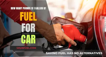 Gallon of Fuel: Weight and Car Performance