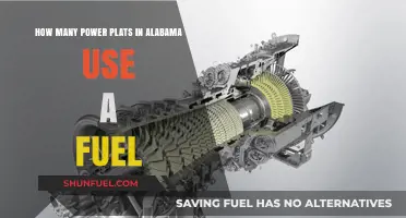 Alabama's Power Plants: Fuel Sources and Energy Generation Insights