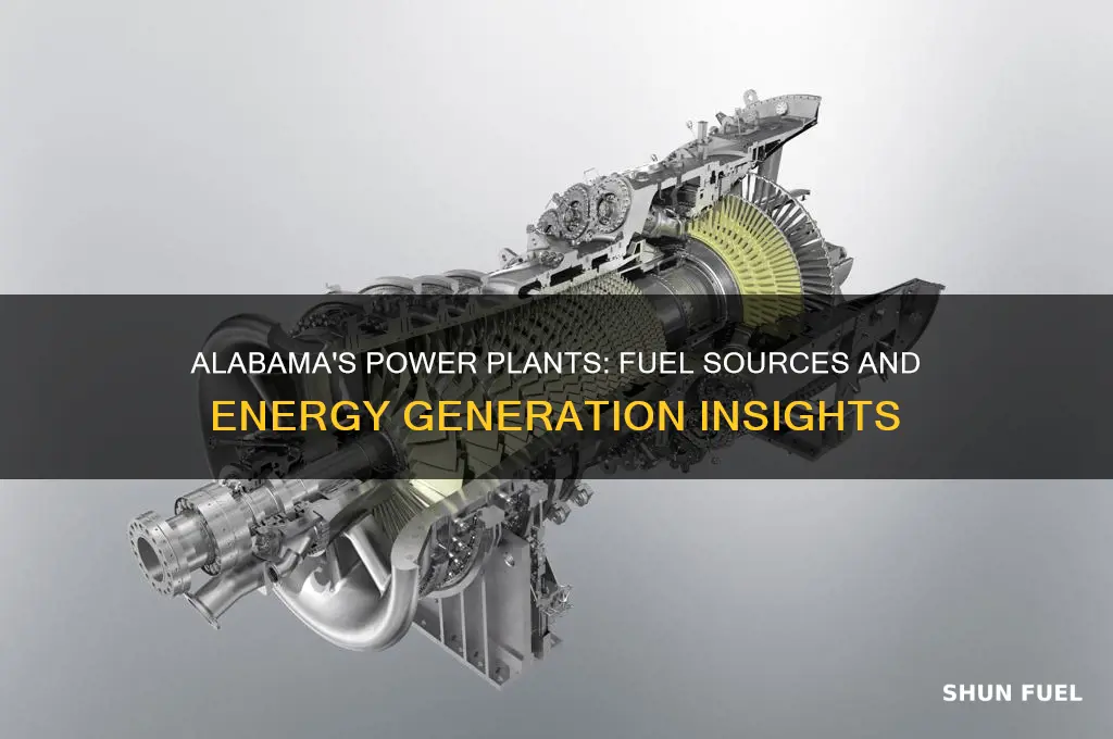 how many power plats in alabama use a fuel