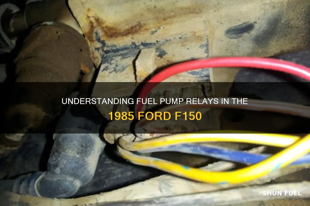 how many relays on 85 f150 for fuel pump