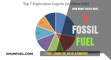 Exploring Fossil Fuel Dependence: Which U.S. States Rely on Coal, Oil, and Gas?