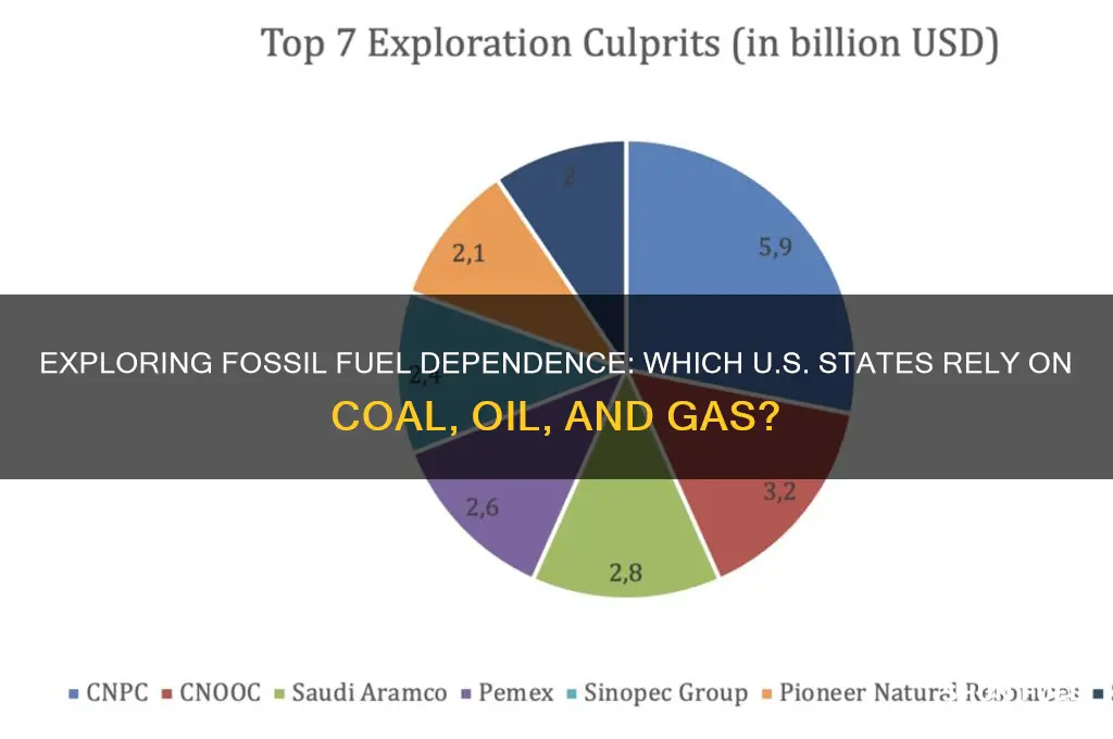 how many states have a fossil fuel