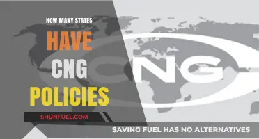 Exploring the Landscape of CNG Policies Across the United States