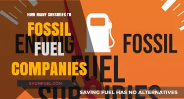 Unveiling the Extent of Fossil Fuel Industry Subsidies: A Comprehensive Analysis