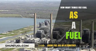 Coal's Ubiquitous Role: Exploring Industries Relying on Coal as Fuel