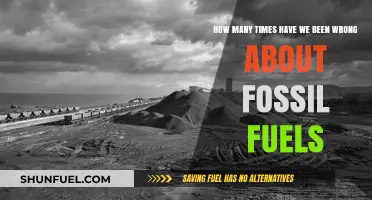 Fossil Fuels: A History of Misjudgments and Surprising Resilience