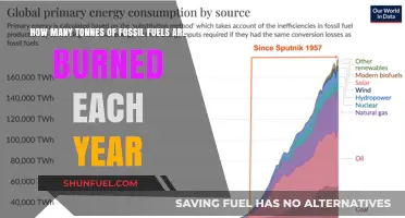 Annual Fossil Fuel Consumption: How Many Tonnes Are Burned Yearly?
