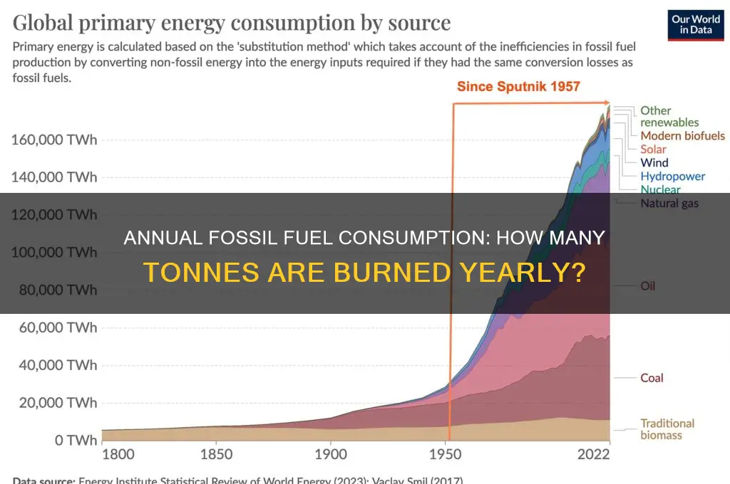 how many tonnes of fossil fuels are burned each year
