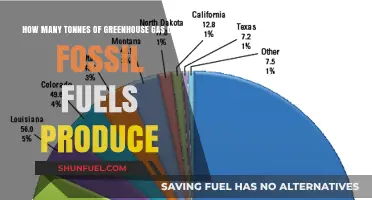 Fossil Fuels' Greenhouse Gas Emissions: Quantifying the Environmental Impact