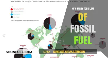 Remaining Fossil Fuel Reserves: How Many Tons Are Left?