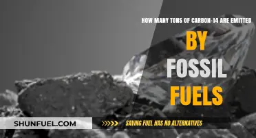 Fossil Fuels' Carbon-14 Emissions: Unveiling the Ton-Scale Impact