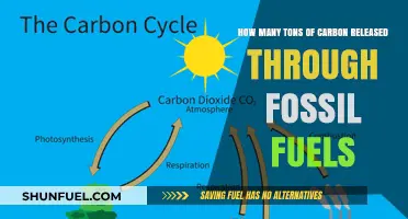 Fossil Fuels' Carbon Emissions: Unveiling the Annual Ton Release