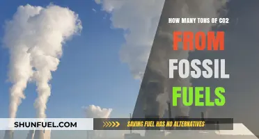 Fossil Fuels' CO2 Emissions: Uncovering the Tonnes Behind Energy Consumption