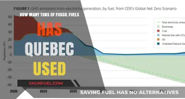 Quebec's Fossil Fuel Consumption: Unveiling Tons of Energy Usage