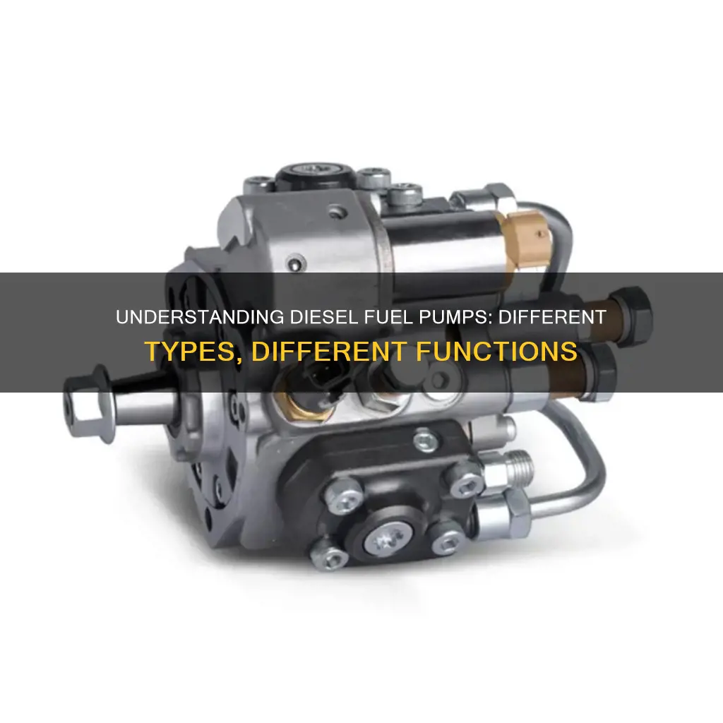 how many type of diesel fuel pump