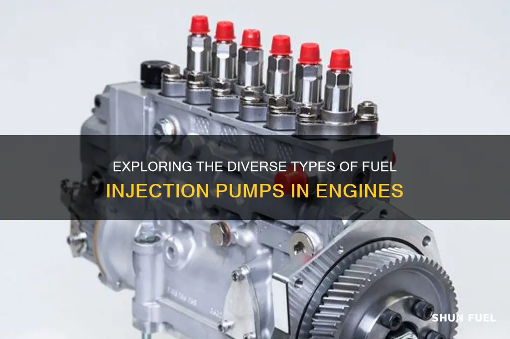 how many types of fuel injection pump