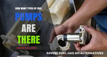Exploring the Diverse World of Fuel Pump Types and Functions