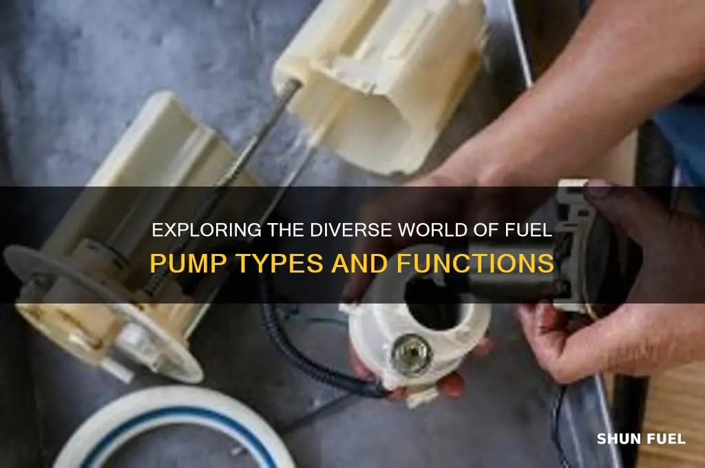 how many types of fuel pumps are there
