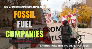 Universities Divesting from Fossil Fuels: Tracking the Global Movement