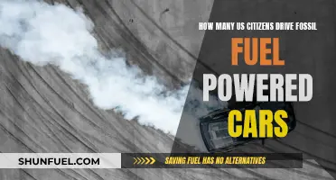 Fossil Fuel Cars: Are Americans Still Driving Them?