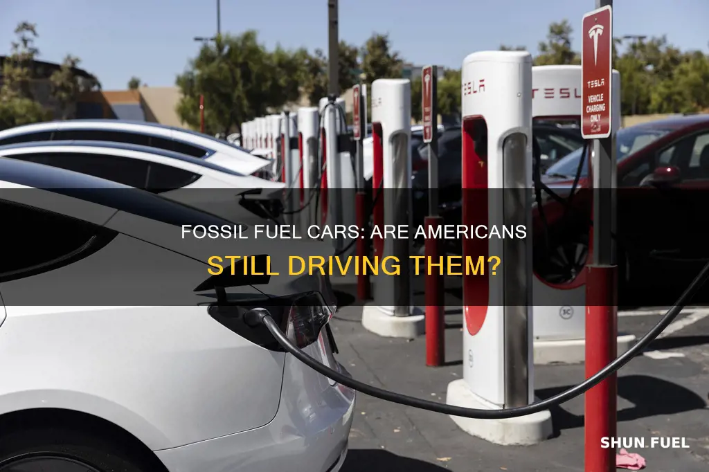 how many us citizens drive fossil fuel powered cars