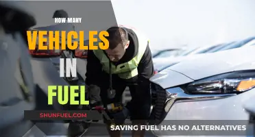 Exploring the Impact of Fuel Consumption Across Global Vehicle Fleets