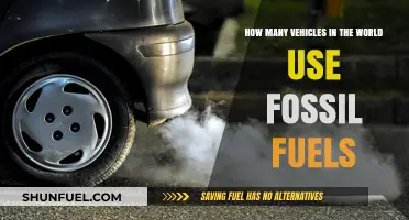 Global Fossil Fuel Vehicle Count: Understanding the World's Dependence