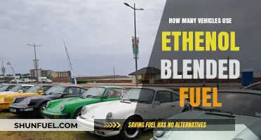 Ethanol-Blended Fuel: How Many Vehicles Are Using It Today?