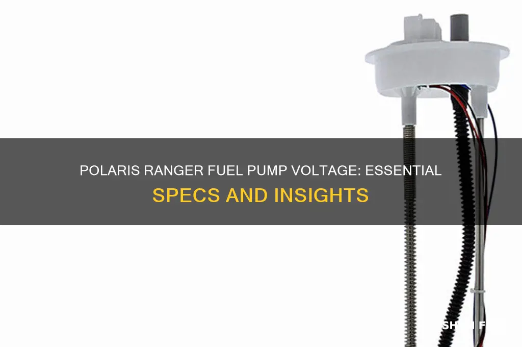 how many volts does a polaris ranger fuel pump