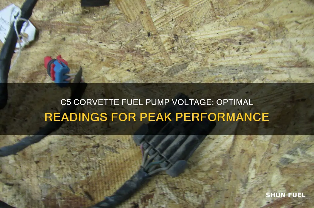 how many volts should a c5 corvette fuel pump show