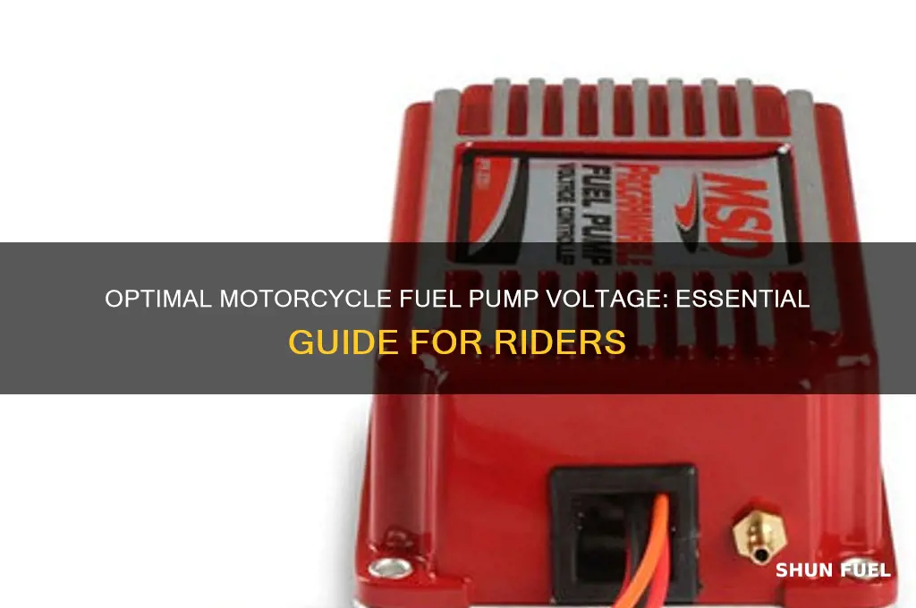 how many volts should a motorcycle fuel pump have