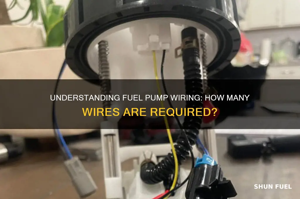 how many wires go to a fuel pump