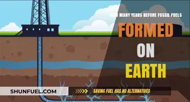 Earth's Fossil Fuel Formation: A Journey Through Millions of Years