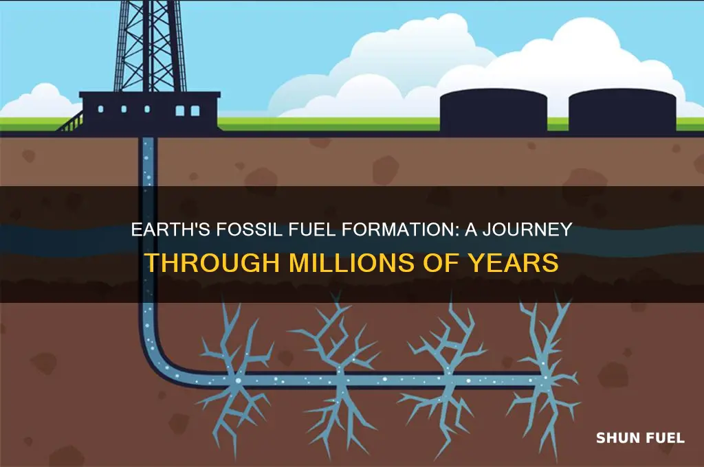 how many years before fossil fuels formed on earth
