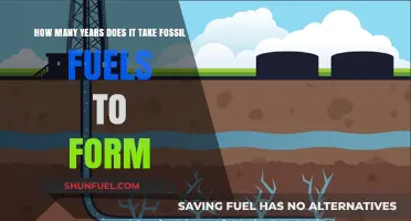 The Ancient Process: How Long Does Fossil Fuel Formation Take?