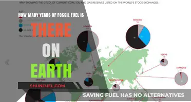 Earth's Fossil Fuel Reserves: How Many Years Are Left?