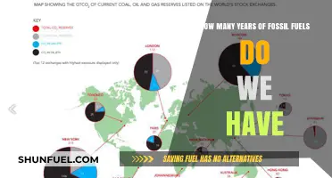 Remaining Fossil Fuel Reserves: How Long Will They Sustain Us?