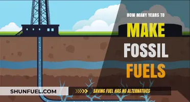 The Lengthy Process of Fossil Fuel Formation Explained